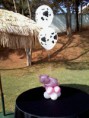 /album/adoro-os-baloes-da-inflar-balloon-www-inflarballoon-com-br/sd-jpg/