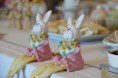 /album/sugestoes-para-pascoa/img-0622-jpg/